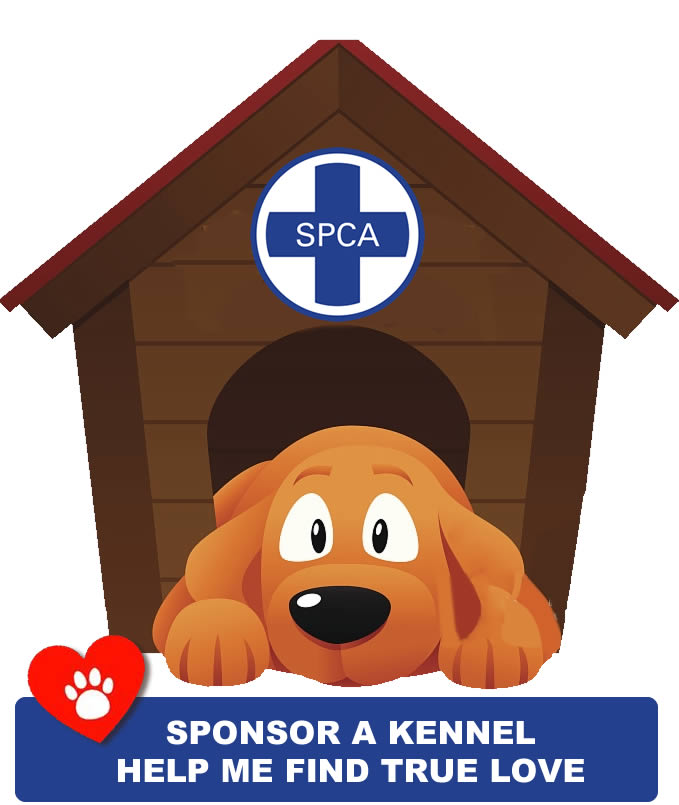 kennel sponsorship