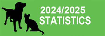 statistics
